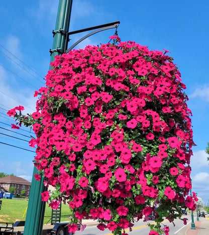 Diese Woche im Sonderangebot: 75 % Rabatt auf künstliche Blumen mit UV-Simulation