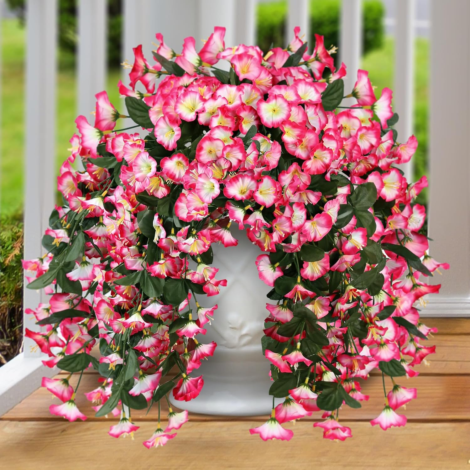 Rosa
